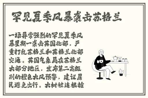 国产精品自产拍在线观看网站